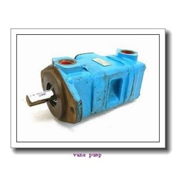 Replace Rexroth vane pump PVV5-1X PVV1-1X PVV2-1X PVV4-1X hydraulic pump