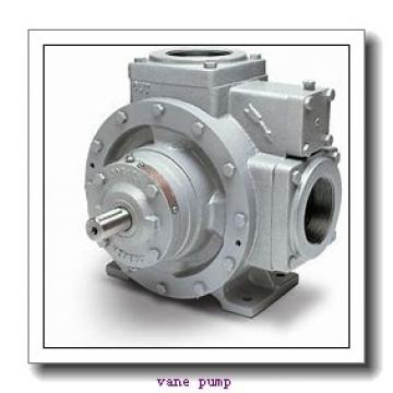 VP22 Series Double Vane Pump Variable Displacement Hydraulic Pump